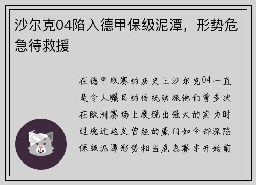 沙尔克04陷入德甲保级泥潭，形势危急待救援